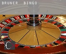 Bruner  Bingo
