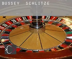Bussey  Schlitze