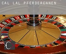 Cal Lal  Pferderennen