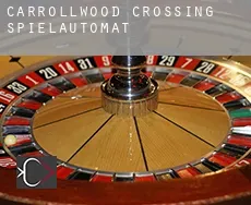 Carrollwood Crossing  Spielautomat