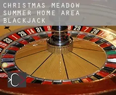 Christmas Meadow Summer Home Area  Blackjack