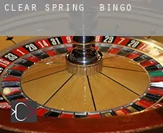 Clear Spring  Bingo