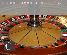 Cooks Hammock  Schlitze