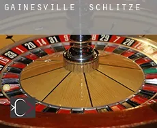 Gainesville  Schlitze
