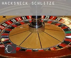 Hacksneck  Schlitze