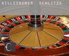Killeenemer Schlitze