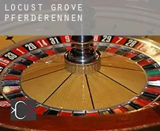 Locust Grove Pferderennen