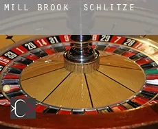 Mill Brook  Schlitze