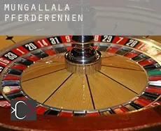 Mungallala Pferderennen