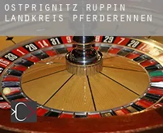 Ostprignitz-Ruppin Landkreis  Pferderennen