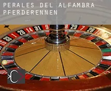 Perales del Alfambra  Pferderennen