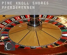 Pine Knoll Shores  Pferderennen