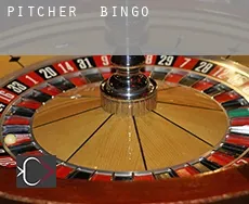 Pitcher  Bingo