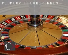 Plumlov  Pferderennen