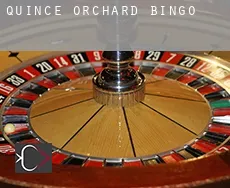 Quince Orchard Bingo