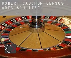 Robert-Cauchon (census area)  Schlitze