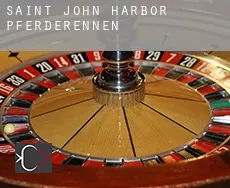 Saint John Harbor  Pferderennen