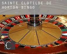 Sainte-Clotilde-de-Horton  Bingo