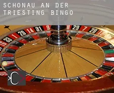 Schönau an der Triesting Bingo