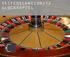 Seitenschweidnitz  Glücksspiel
