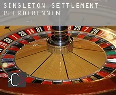 Singleton Settlement  Pferderennen