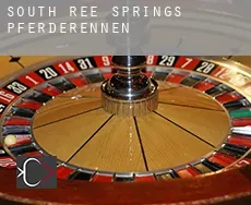 South Ree Springs  Pferderennen