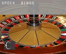 Speck  Bingo