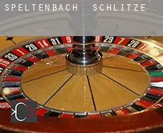 Speltenbach  Schlitze