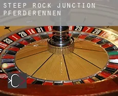 Steep Rock Junction  Pferderennen