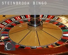 Steinbrook  Bingo