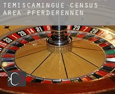 Témiscamingue (census area)  Pferderennen
