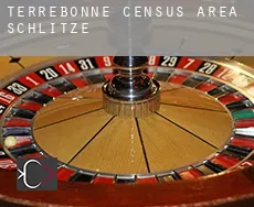 Terrebonne (census area)  Schlitze