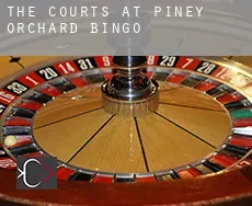 The Courts at Piney Orchard  Bingo