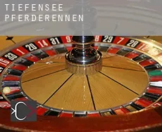 Tiefensee  Pferderennen