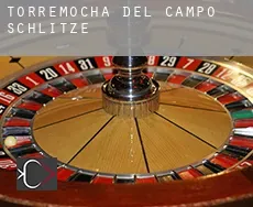 Torremocha del Campo Schlitze
