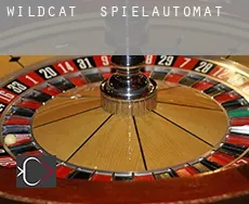 Wildcat  Spielautomat