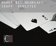 Auhof bei Neumarkt i.d.OPf.  Schlitze