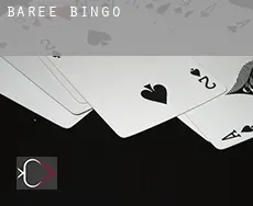 Baree  Bingo