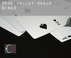 Dove Valley Ranch  Bingo