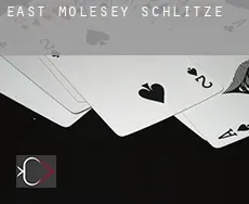 East Molesey  Schlitze