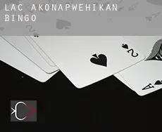 Lac-Akonapwehikan  Bingo