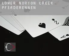 Lower Norton Creek  Pferderennen