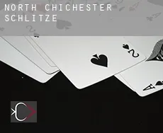 North Chichester  Schlitze