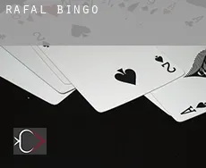 Rafal  Bingo