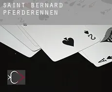 Saint Bernard  Pferderennen