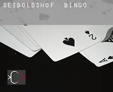 Seiboldshof  Bingo