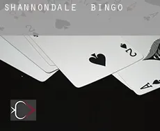 Shannondale  Bingo