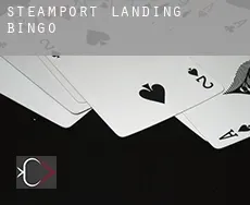 Steamport Landing  Bingo