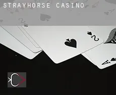 Strayhorse  Casino