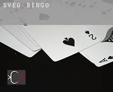 Sveg  Bingo